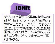 IBNR����