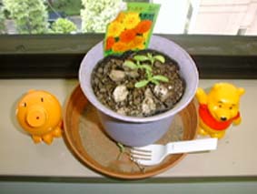 �����̃����`