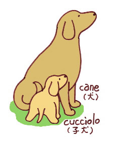 ����炳��C���X�g