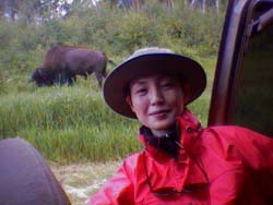 バッファローとともに