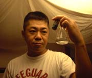 �A���}�I�C�������ɂ�����