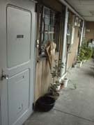 ���G���������