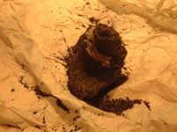 ���֌W�ɂ��炸