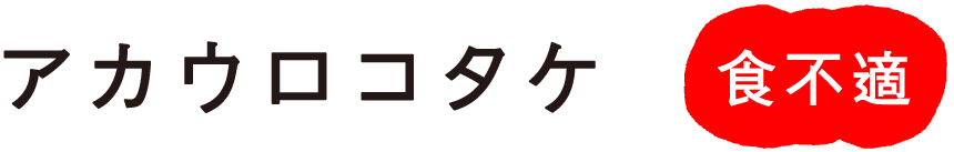 �A�J�E���R�^�P
�H�s�K