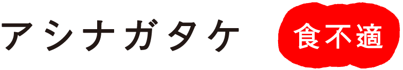 �j�A�V�i�K�^�P
�H�s�K