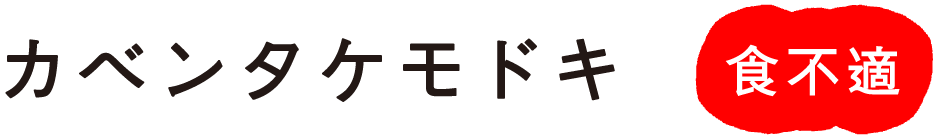 �J�x���^�P���h�L
�H�s�K