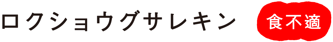 ���N�V���E�O�T���L��
�H�s�K