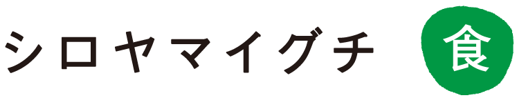 �V�����}�C�O�`
�H