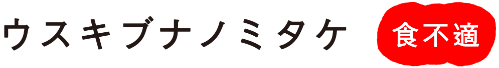 �E�X�L�u�i�m�~�^�P
�H�s�K