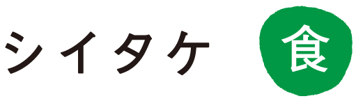 �V�C�^�P
�H