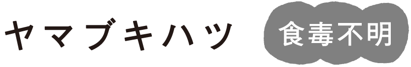 ���}�u�L�n�c
�H�ŕs��