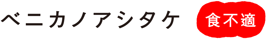 �x�j�J�m�A�V�^�P �H�s�K