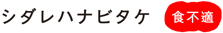 �V�_���n�i�r�^�P �H�s�K