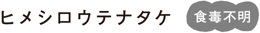 �q���V���E�e�i�^�P�H�ŕs��