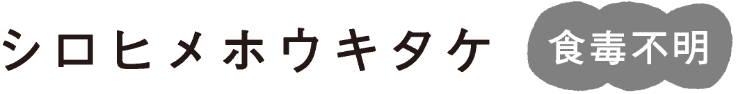 �V���q���z�E�L�^�P �H�ŕs��