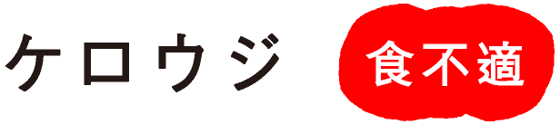 �P���E�W
�H�s�K