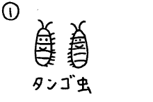 �^���S��