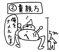 ���e���B