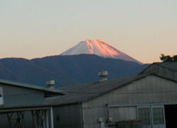 マウント・フジ