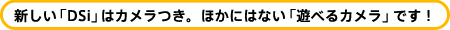 �V�����uDSi�v�̓J�������B�ق��ɂ͂Ȃ��u�V�ׂ�J�����v�ł��I�@