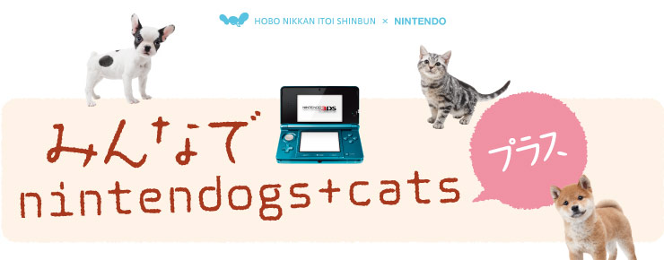 �݂�Ȃ� nintendogs+cats�v���X