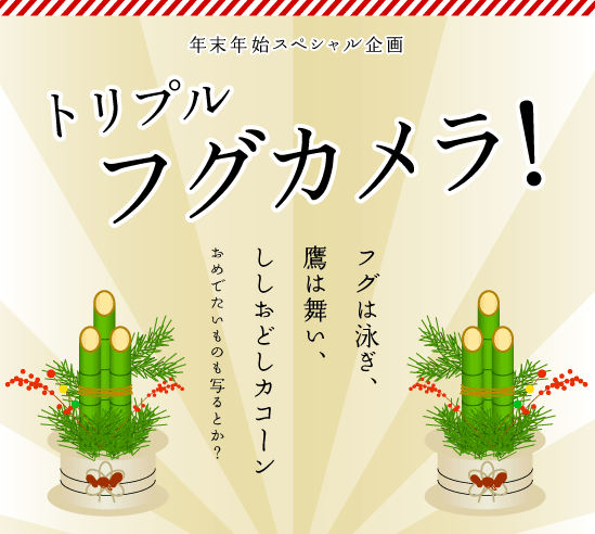  �S�[���f���E�B�[�N�X�y�V������� �g���v���E�t�O�J�����I �����I�@�L���I�@�t�O���I