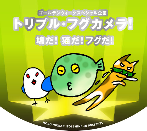  �S�[���f���E�B�[�N�X�y�V������� �g���v���E�t�O�J�����I �����I�@�L���I�@�t�O���I