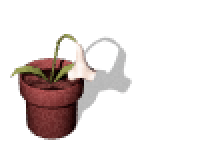 ���I�������ɁB