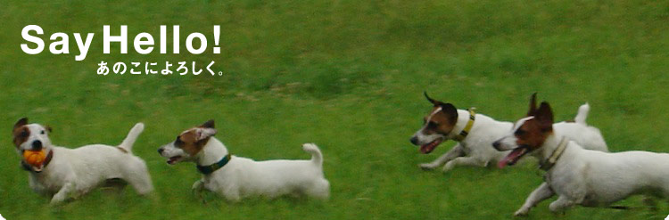 Say Hello!�@���̂��ɂ�낵���B