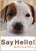 SAY HELLO!�o�i�[-�j�R�o�[�W����