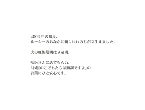 �n���[�A���[�V�[�B