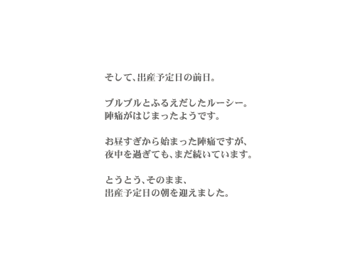 �n���[�A���[�V�[�B