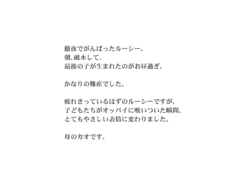 �n���[�A���[�V�[�B