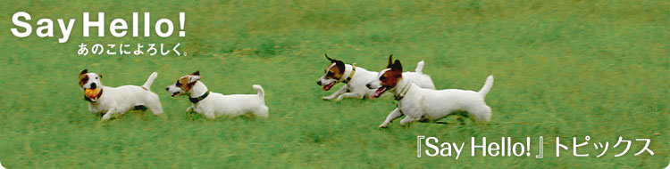 Say Hello! �g�s�b�N�X