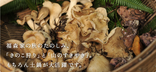 ���X�Ƃ̏H�̂��̂��݁A �u���̂����v�Ɓu�R�̂����₫�v�B �������y�炪�劈��ł��B