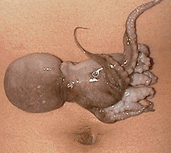 �^�R�Ƃւ��B